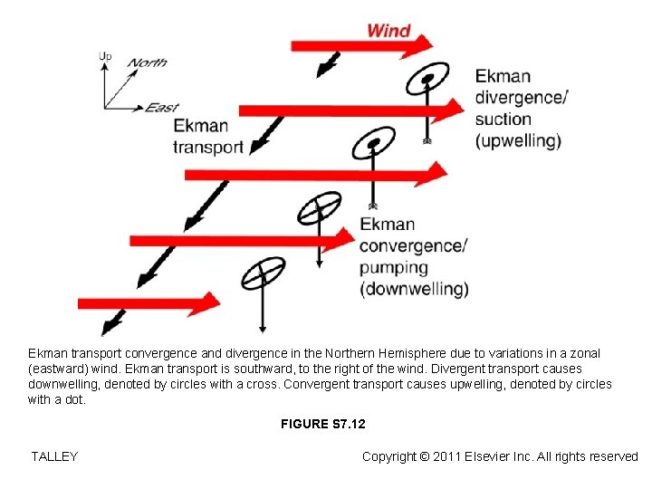 Ekman transport convergence and divergence in the Northern Hemisphere due to variations in a