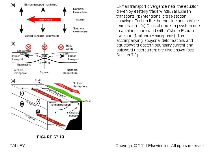 Ekman transport divergence near the equator driven by easterly trade winds. (a) Ekman transports.