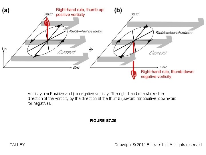 Vorticity. (a) Positive and (b) negative vorticity. The right-hand rule shows the direction of
