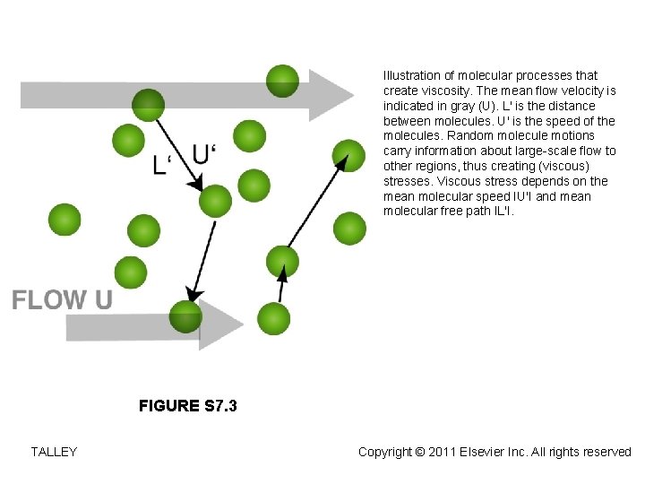 Illustration of molecular processes that create viscosity. The mean flow velocity is indicated in