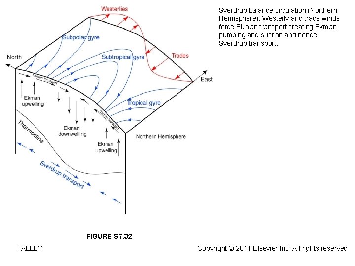 Sverdrup balance circulation (Northern Hemisphere). Westerly and trade winds force Ekman transport creating Ekman