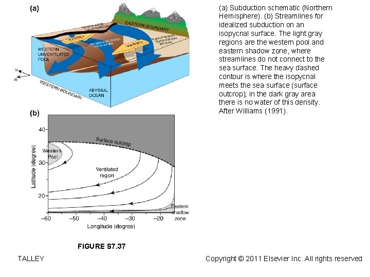 (a) Subduction schematic (Northern Hemisphere). (b) Streamlines for idealized subduction on an isopycnal surface.