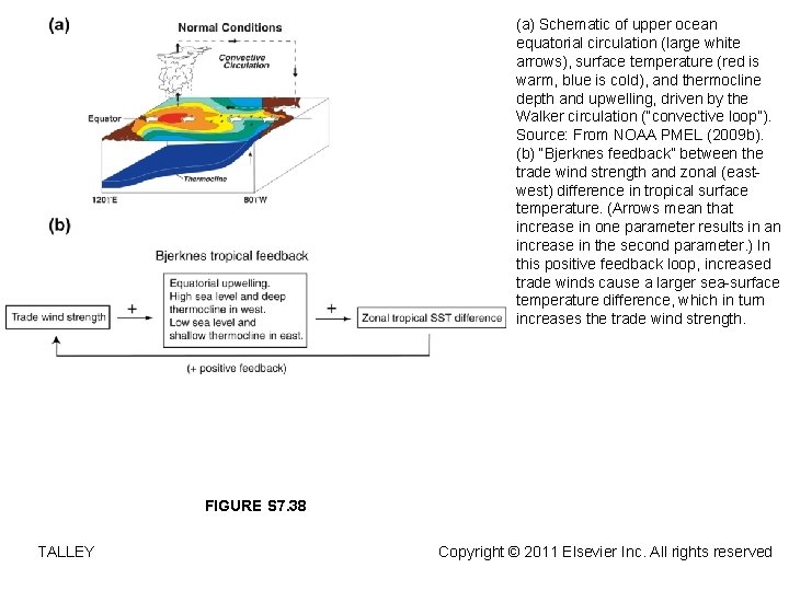 (a) Schematic of upper ocean equatorial circulation (large white arrows), surface temperature (red is