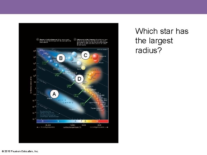 C B D A © 2015 Pearson Education, Inc. Which star has the largest