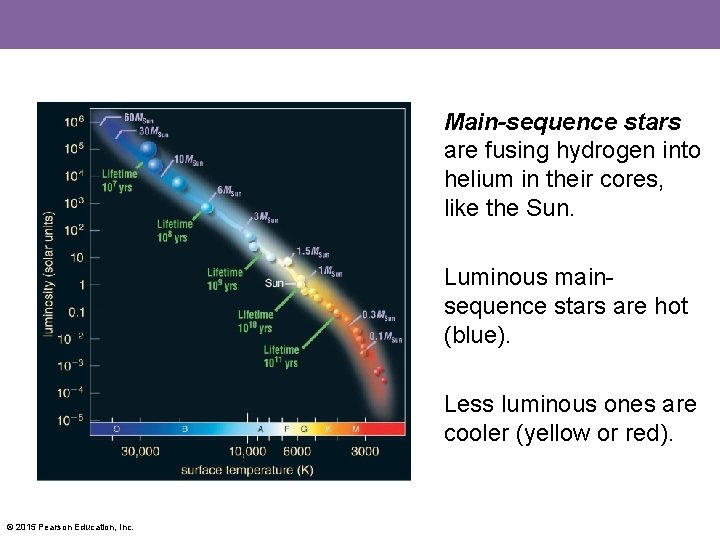 Main-sequence stars are fusing hydrogen into helium in their cores, like the Sun. Luminous