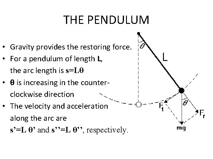 THE PENDULUM • Gravity provides the restoring force. • For a pendulum of length