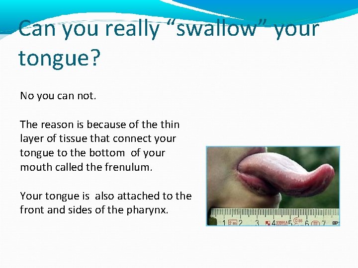 Can you really “swallow” your tongue? No you can not. The reason is because