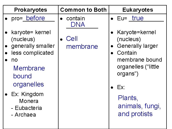 Prokaryotes Common to Both before pro=_____ contain DNA _____ karyote= kernel (nucleus) Cell generally