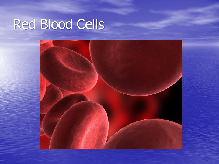 Red Blood Cells 
