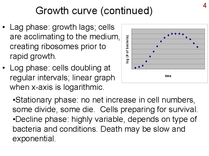 Normal Cell Growth Graph Bacterial growth defined Since individual cells double in