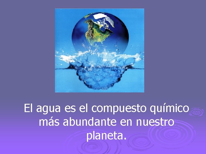 El agua es el compuesto químico más abundante en nuestro planeta. 