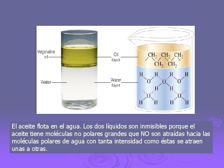 El aceite flota en el agua. Los dos líquidos son inmisibles porque el aceite