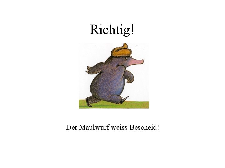 Richtig! Der Maulwurf weiss Bescheid! 