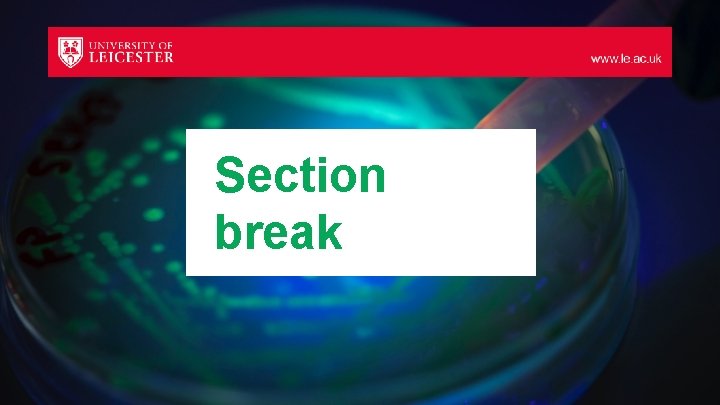 Section break 