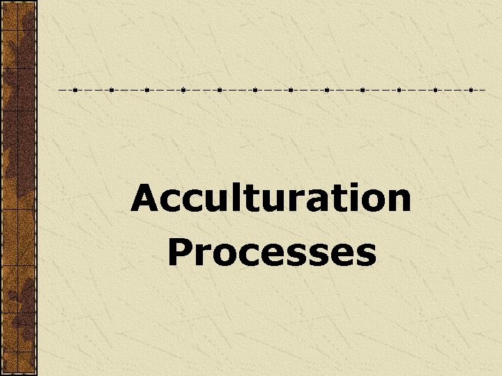 Acculturation Processes 