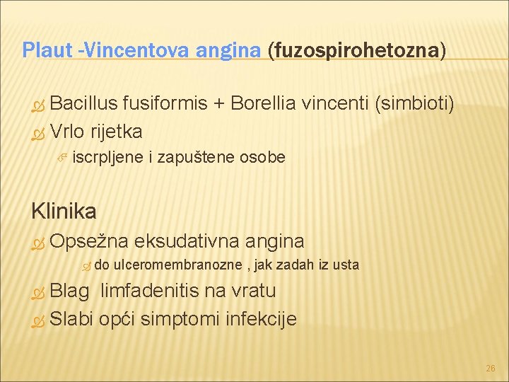 Plaut -Vincentova angina (fuzospirohetozna) Bacillus fusiformis + Borellia vincenti (simbioti) Vrlo rijetka iscrpljene i Plaut -Vincentova angina (fuzospirohetozna) Bacillus fusiformis + Borellia vincenti (simbioti) Vrlo rijetka iscrpljene i