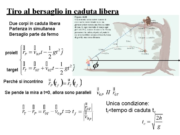 Tiro al bersaglio in caduta libera Due corpi in caduta libera Partenza in simultanea