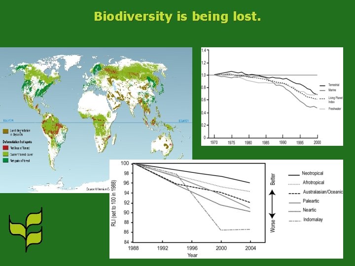 Biodiversity is being lost. 