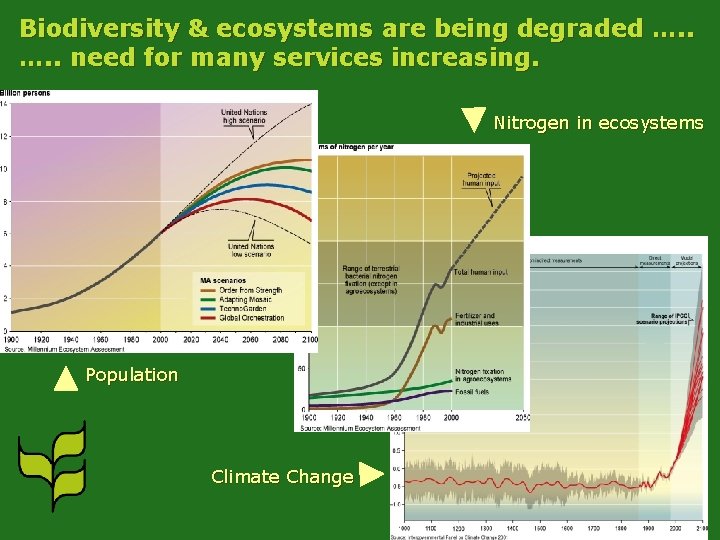 Biodiversity & ecosystems are being degraded …. . need for many services increasing. Nitrogen