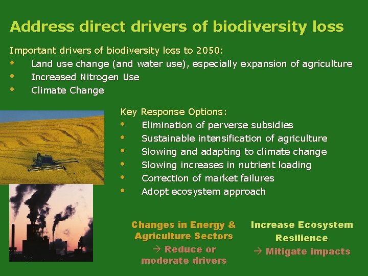 Address direct drivers of biodiversity loss Important drivers of biodiversity loss to 2050: •