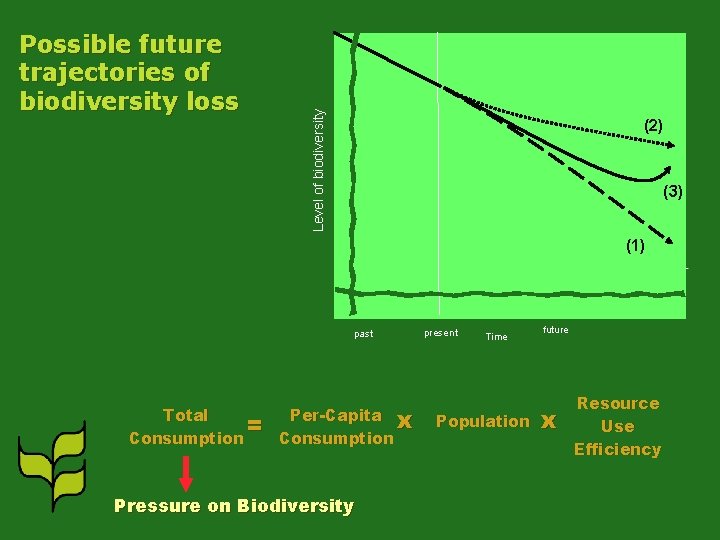 Level of biodiversity Possible future trajectories of biodiversity loss (2) (3) (1) past Total