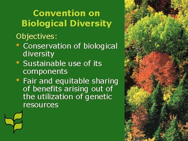 Convention on Biological Diversity Objectives: • Conservation of biological diversity • Sustainable use of