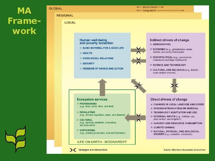 MA Framework 