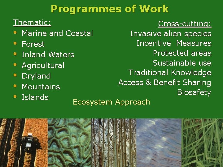 Programmes of Work Thematic: Cross-cutting: • Marine and Coastal Invasive alien species Incentive Measures