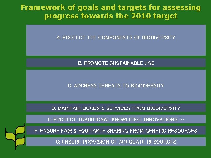 Framework of goals and targets for assessing progress towards the 2010 target A: PROTECT