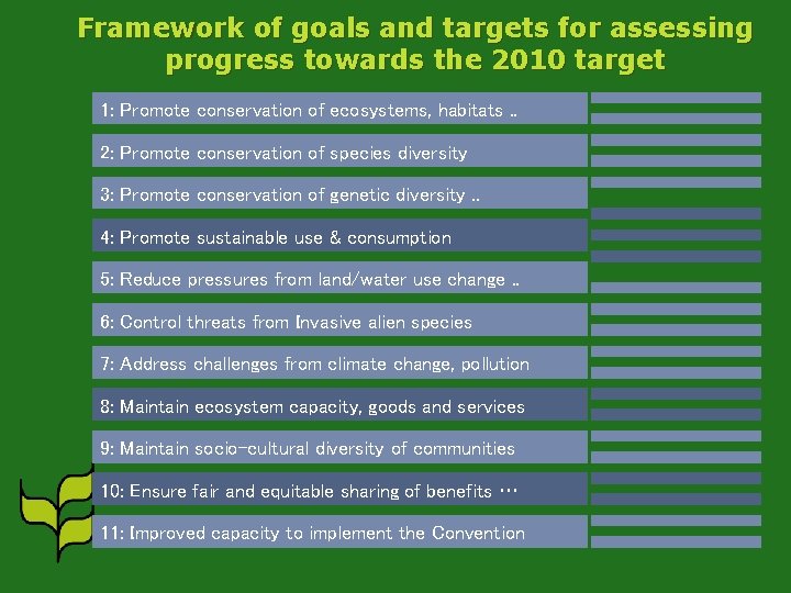 Framework of goals and targets for assessing progress towards the 2010 target 1: Promote