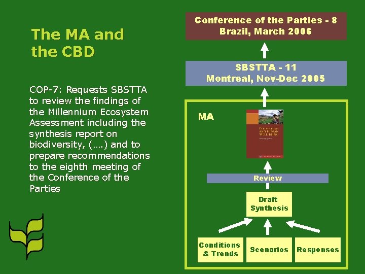 The MA and the CBD COP-7: Requests SBSTTA to review the findings of the