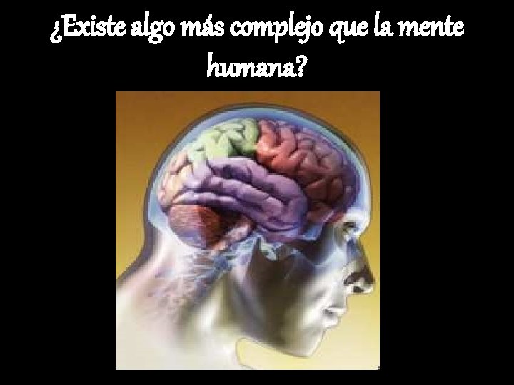 ¿Existe algo más complejo que la mente humana? 