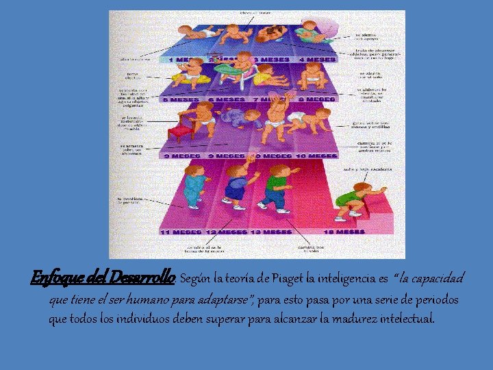 Enfoque del Desarrollo: Según la teoría de Piaget la inteligencia es “ la capacidad