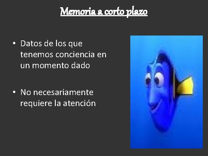 Memoria a corto plazo • Datos de los que tenemos conciencia en un momento