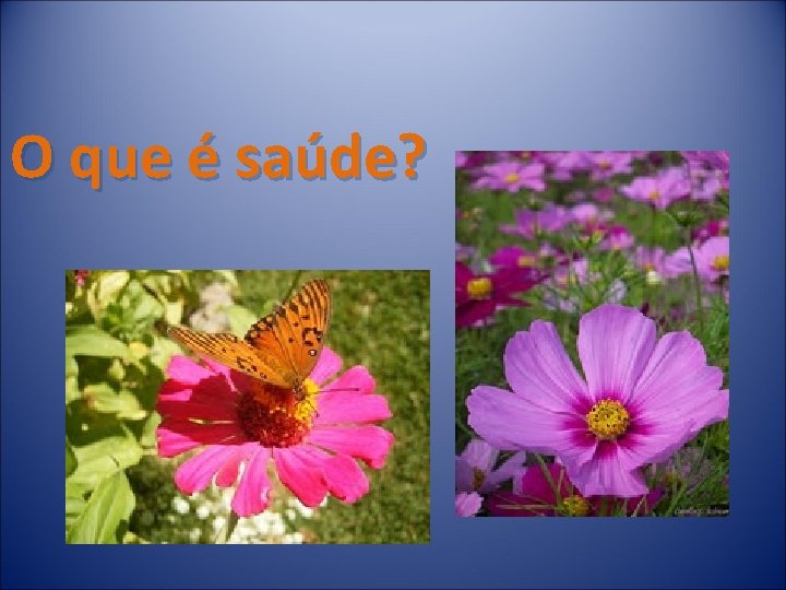 O que é saúde? 