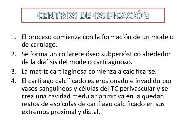 CENTROS DE OSIFICACIÓN 1. El proceso comienza con la formación de un modelo de