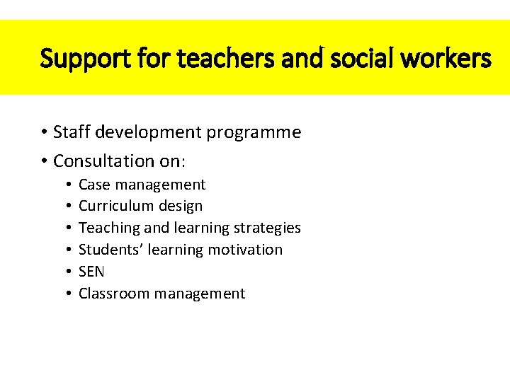 Support for teachers and social workers • Staff development programme • Consultation on: •