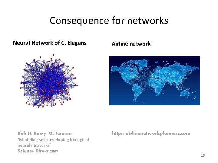 Consequence for networks Neural Network of C. Elegans Ref: H. Berry, O. Temam ‘Modeling
