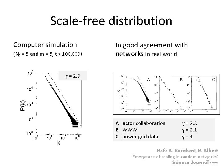 Scale-free distribution Computer simulation (N 0 = 5 and m = 5, t >