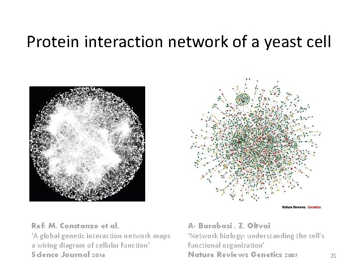 Protein interaction network of a yeast cell Ref: M. Constanzo et al. ‘A global