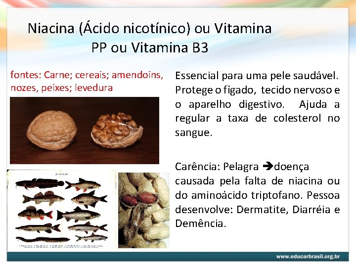 Niacina (Ácido nicotínico) ou Vitamina PP ou Vitamina B 3 fontes: Carne; cereais; amendoins, Niacina (Ácido nicotínico) ou Vitamina PP ou Vitamina B 3 fontes: Carne; cereais; amendoins,