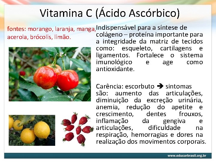 Vitamina C (Ácido Ascórbico) fontes: morango, laranja, manga, Indispensável para a síntese de colágeno Vitamina C (Ácido Ascórbico) fontes: morango, laranja, manga, Indispensável para a síntese de colágeno
