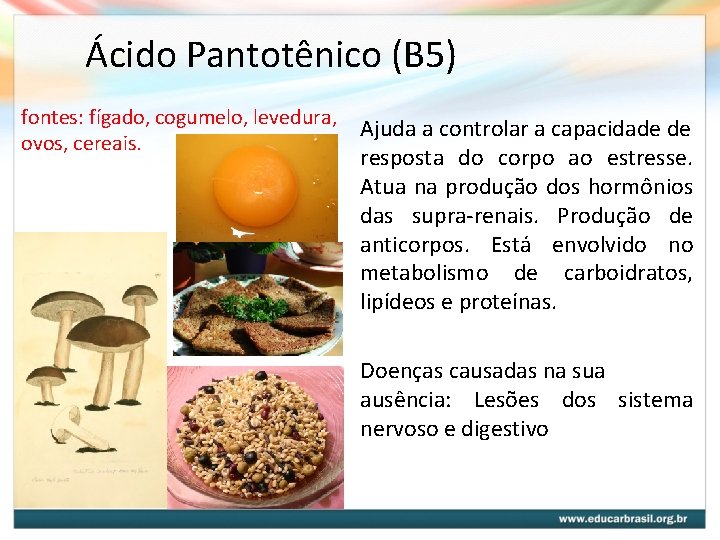 Ácido Pantotênico (B 5) fontes: fígado, cogumelo, levedura, ovos, cereais. Ajuda a controlar a Ácido Pantotênico (B 5) fontes: fígado, cogumelo, levedura, ovos, cereais. Ajuda a controlar a