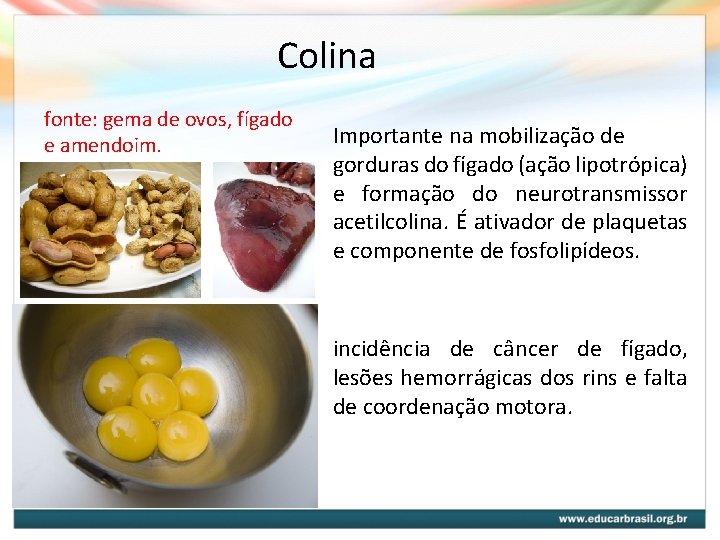 Colina fonte: gema de ovos, fígado e amendoim. : Carência Importante na mobilização de Colina fonte: gema de ovos, fígado e amendoim. : Carência Importante na mobilização de