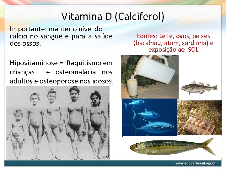 Vitamina D (Calciferol) Importante: manter o nível do cálcio no sangue e para a Vitamina D (Calciferol) Importante: manter o nível do cálcio no sangue e para a