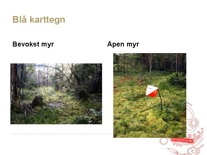 Blå karttegn Bevokst myr Åpen myr 