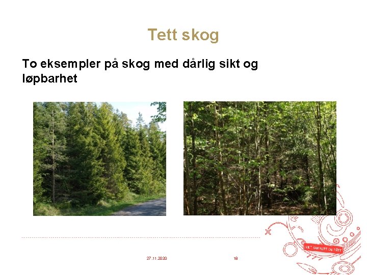 Tett skog To eksempler på skog med dårlig sikt og løpbarhet 27. 11. 2020