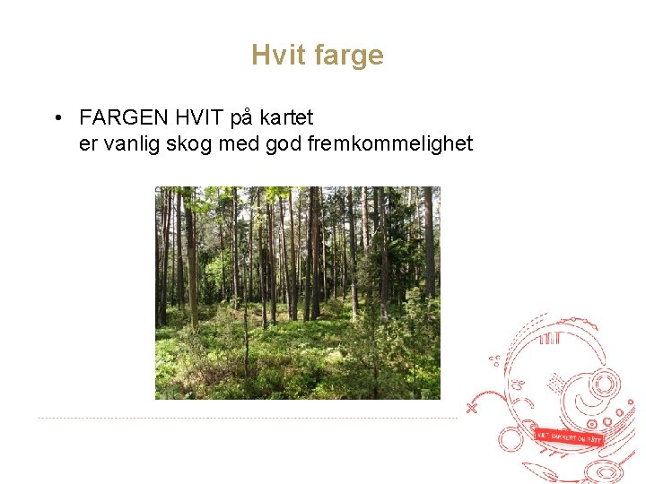 Hvit farge • FARGEN HVIT på kartet er vanlig skog med god fremkommelighet 