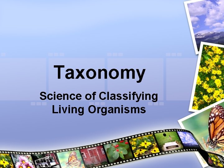 Taxonomy Science of Classifying Living Organisms 