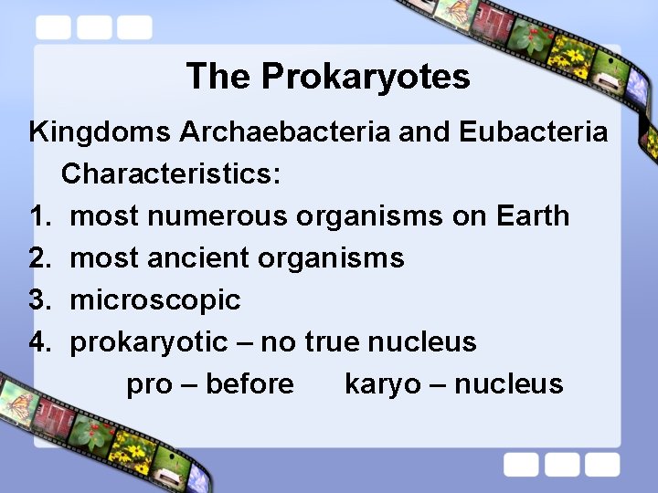 The Prokaryotes Kingdoms Archaebacteria and Eubacteria Characteristics: 1. most numerous organisms on Earth 2.